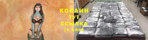 ПСИЛОЦИБИНОВЫЕ ГРИБЫ Аркадак