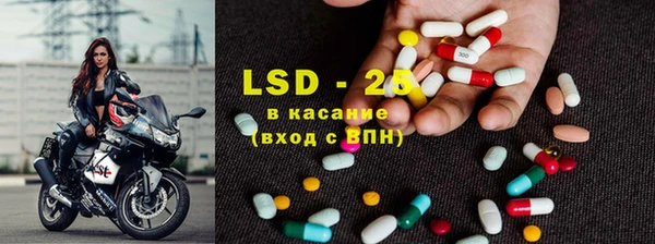 ПСИЛОЦИБИНОВЫЕ ГРИБЫ Аркадак