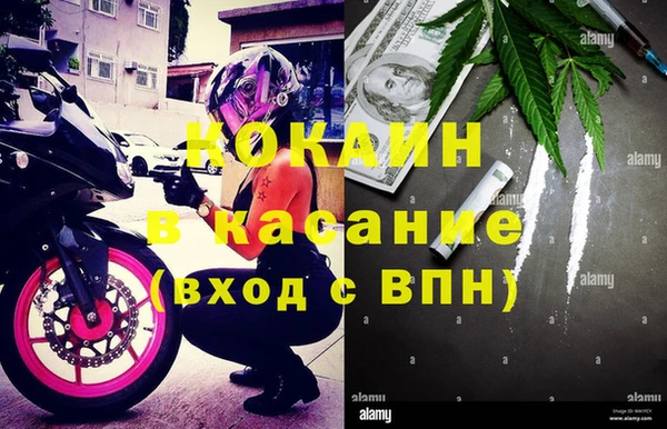 ПСИЛОЦИБИНОВЫЕ ГРИБЫ Аркадак