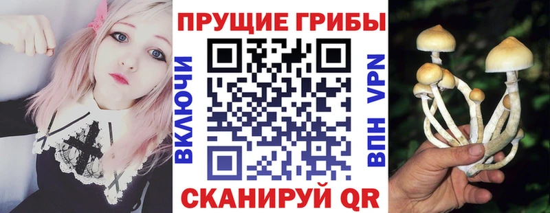 Псилоцибиновые грибы MAGIC MUSHROOMS Арск